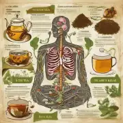 茶叶如何帮助改善消化系统健康?