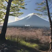 富士山居香烟对当地生态的影响是什么?
